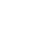 seo-inspection